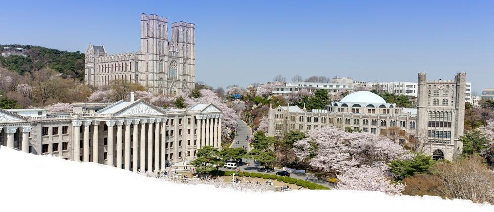View of Korea University with cherry blossoms in bloom