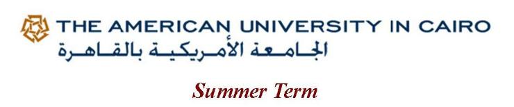 AUC_Summer_Program_banner
