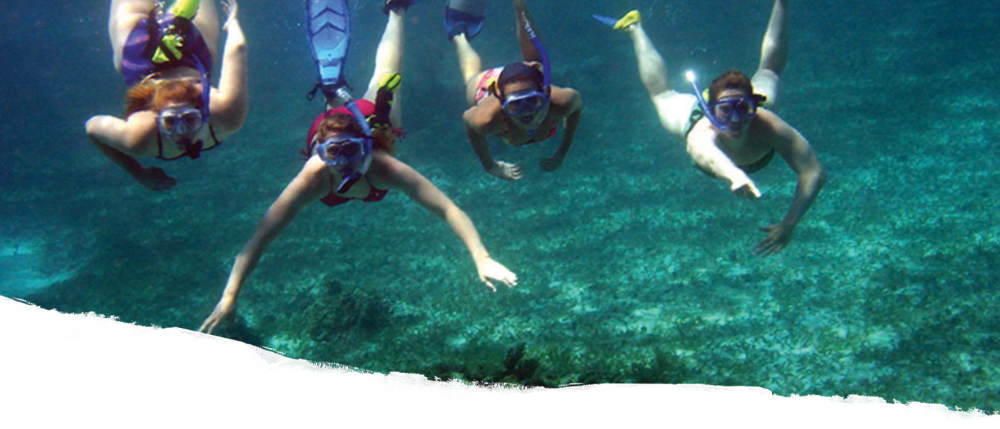 Students Snorkelling